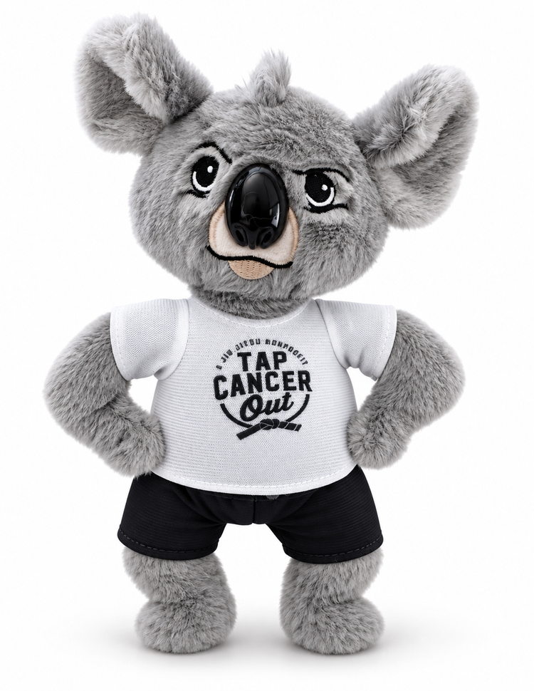 Koala stuffie